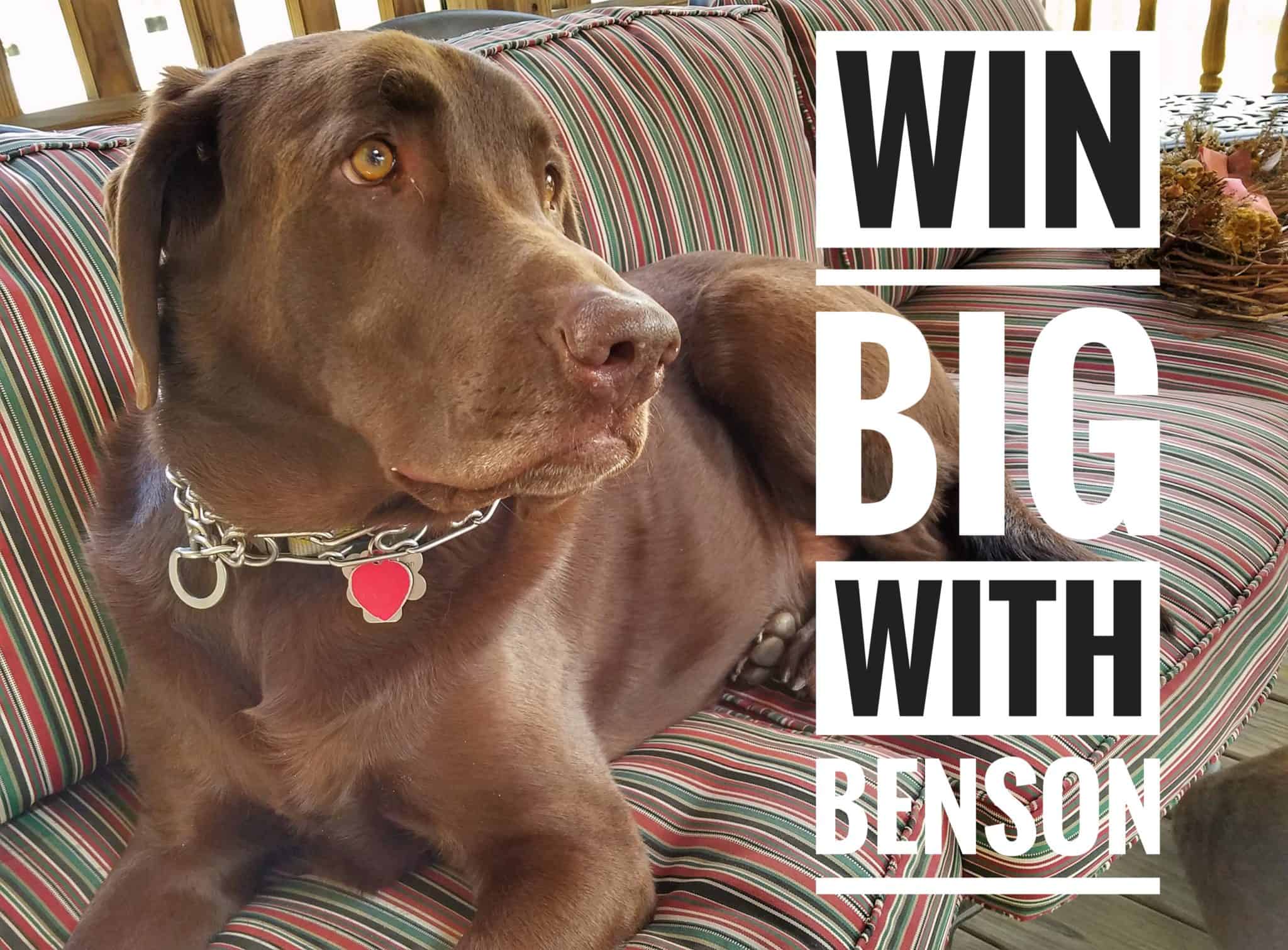 Win Big With Benson