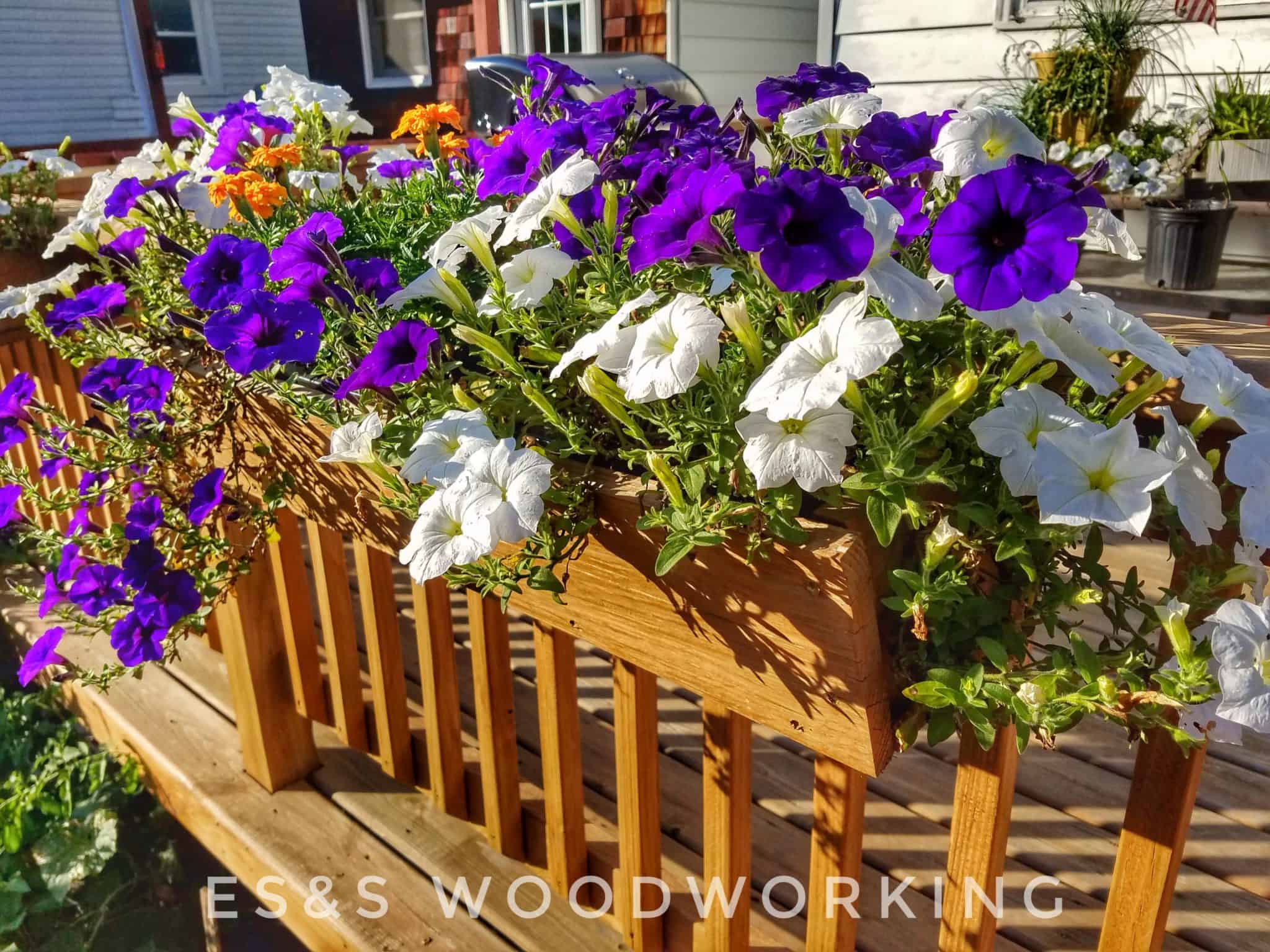 planter box